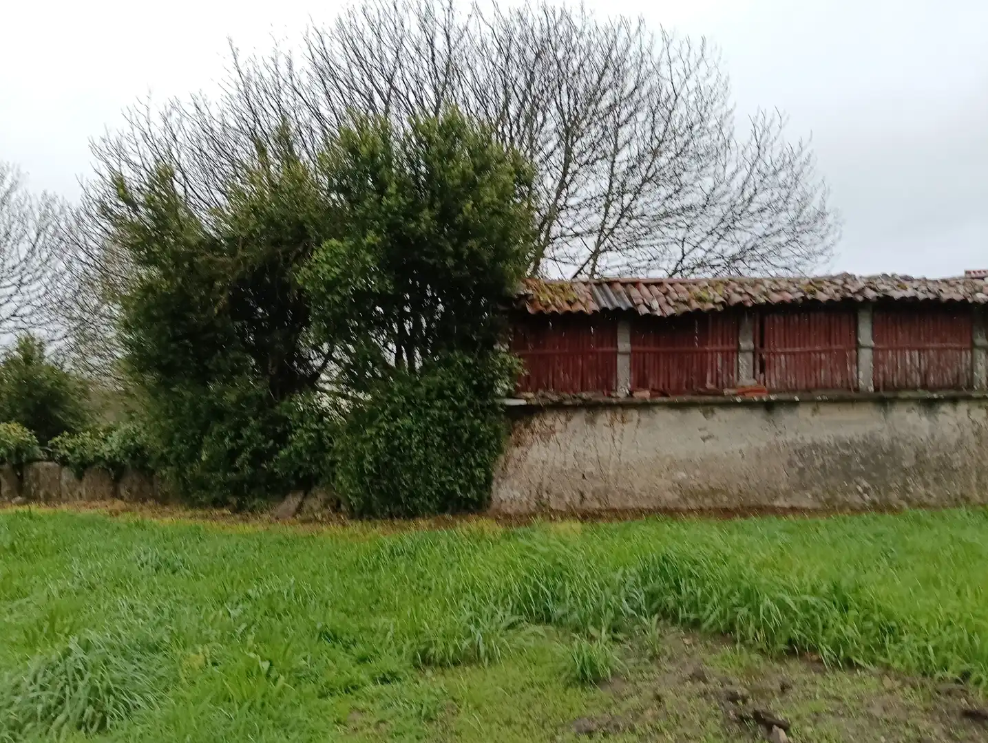 Adossat amb jardí en venda a Curtis, imagen 28