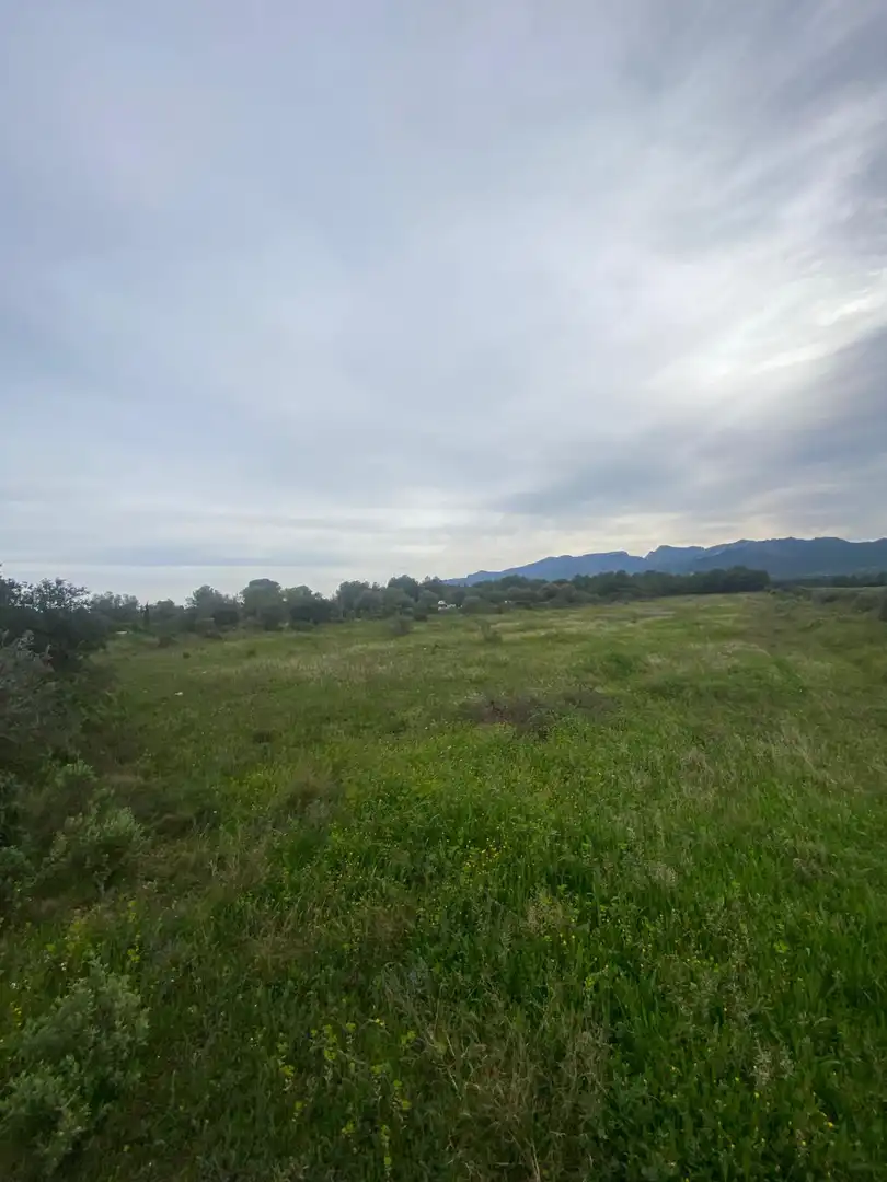 Lands and plots for sale in Ginestar
