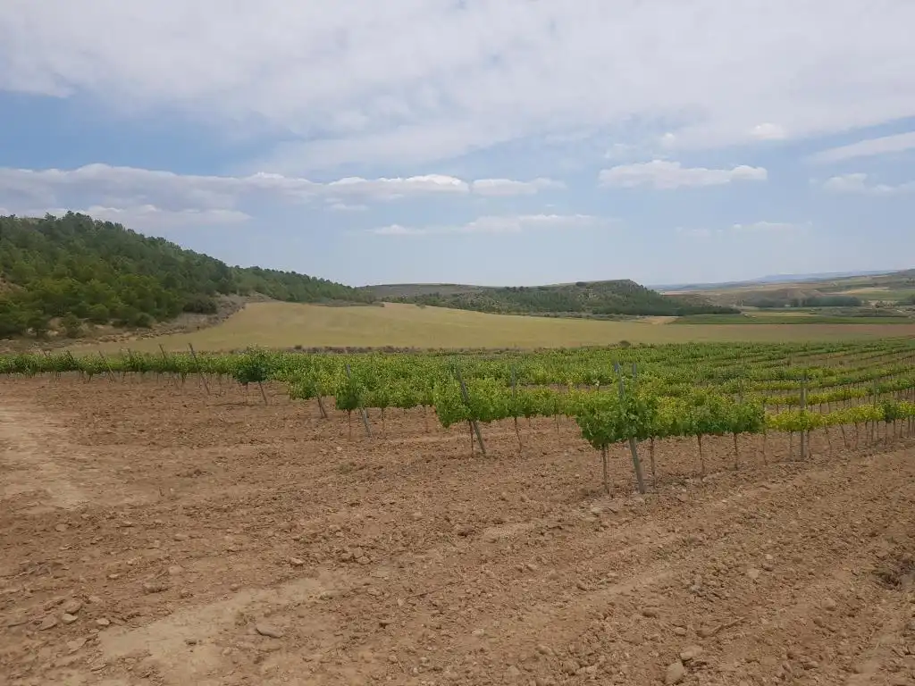 Rural land for sale in c/ palancona, imagen 6