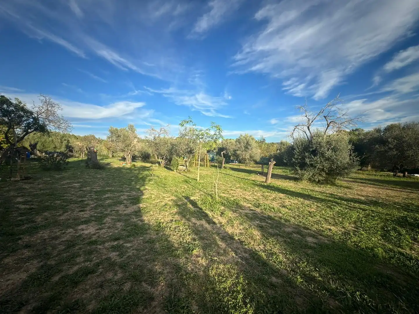 Country house with garden for sale in Son Amonda - Reis Catòlics, imagen 30