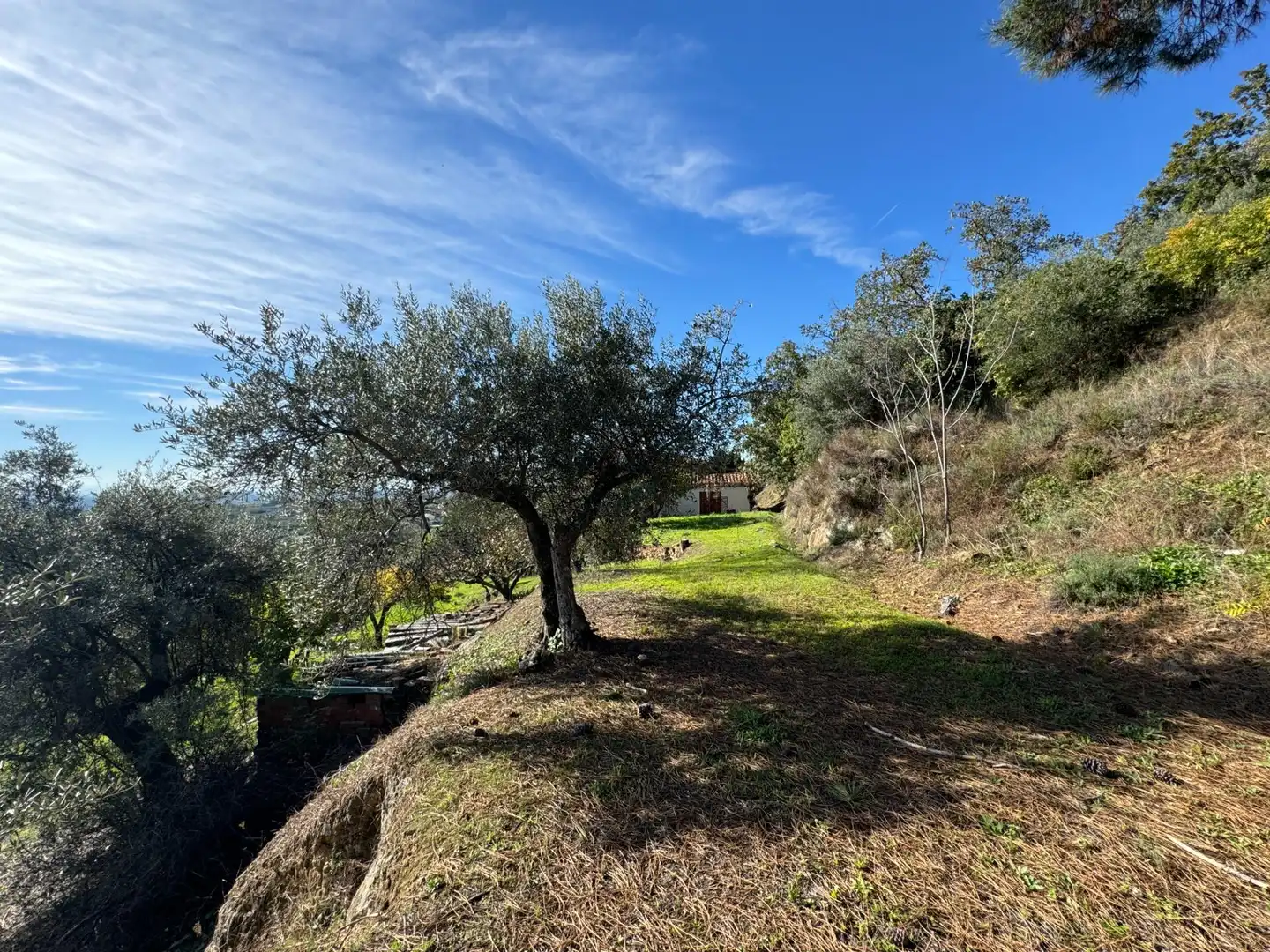 Finca rústica en venta en Candeleda con Jardín privado