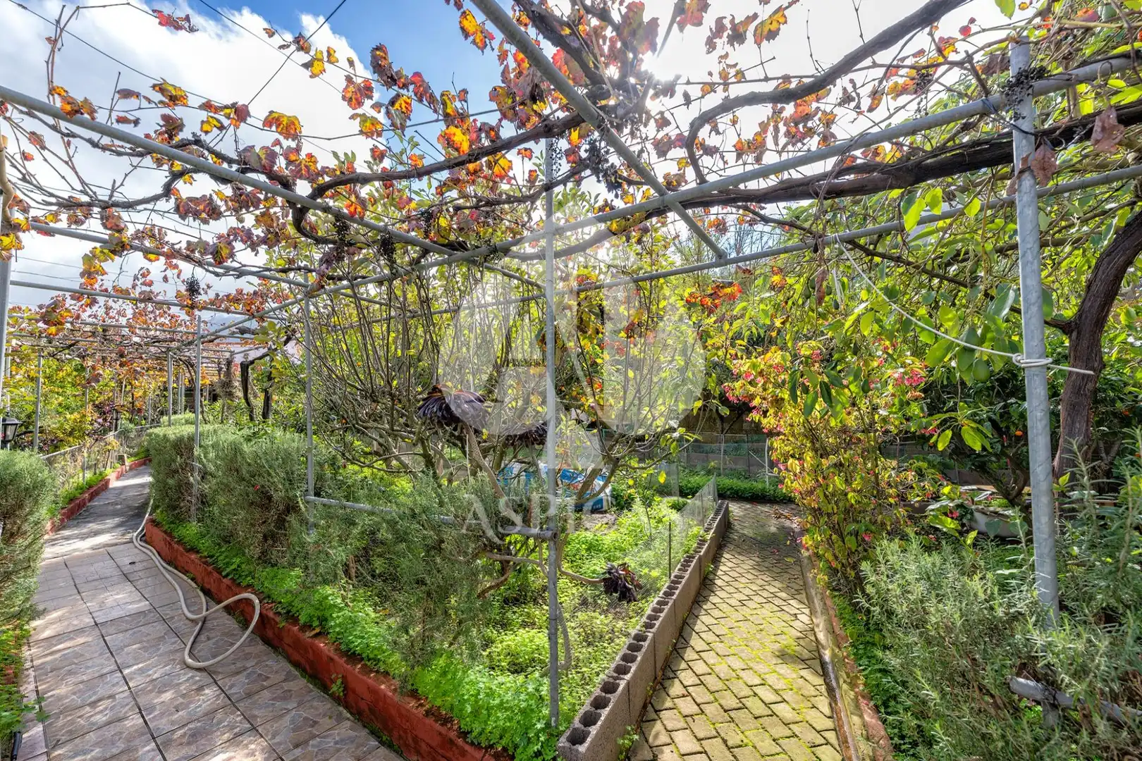 Casa rústica amb jardí en venda a Calle Los Parrales 12, imagen 29