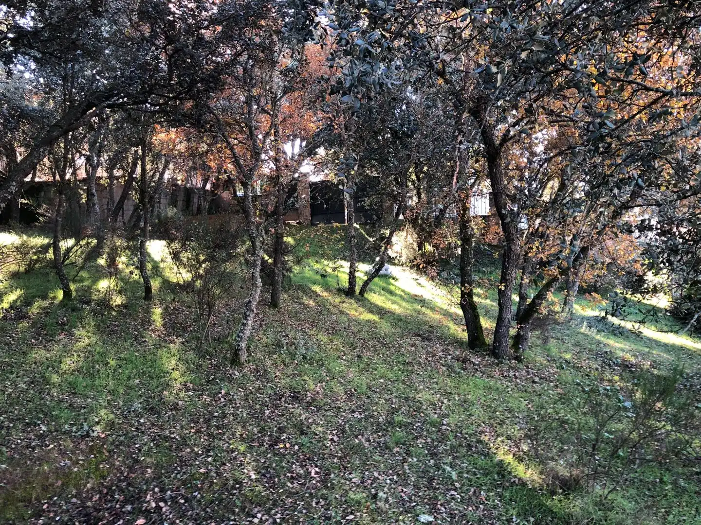 Wohnbaugrundstück zum Verkauf in Calle la Encina 267, imagen 3