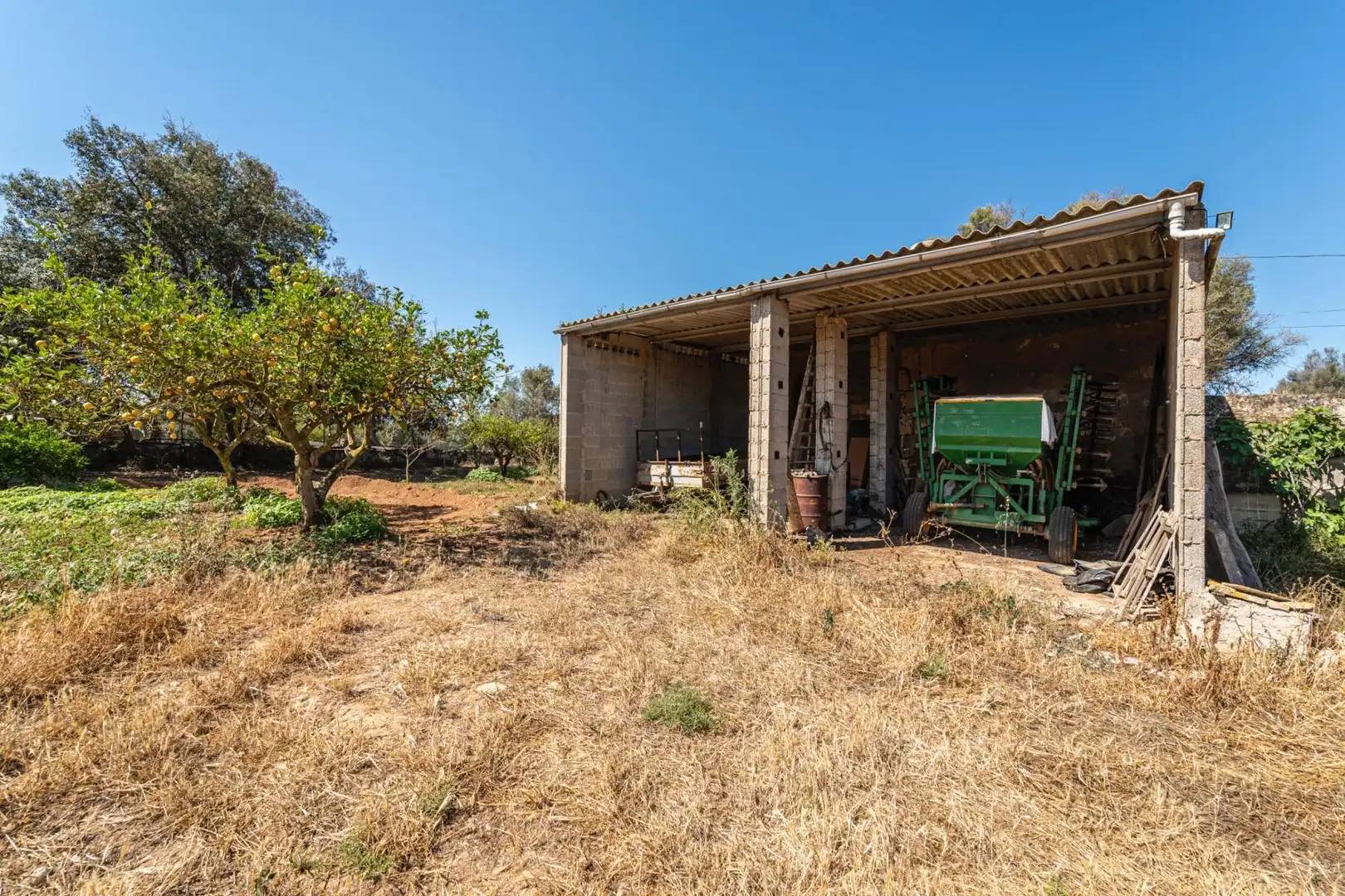 Terreno rustico in vendita a Felanitx Poble, imagen 3
