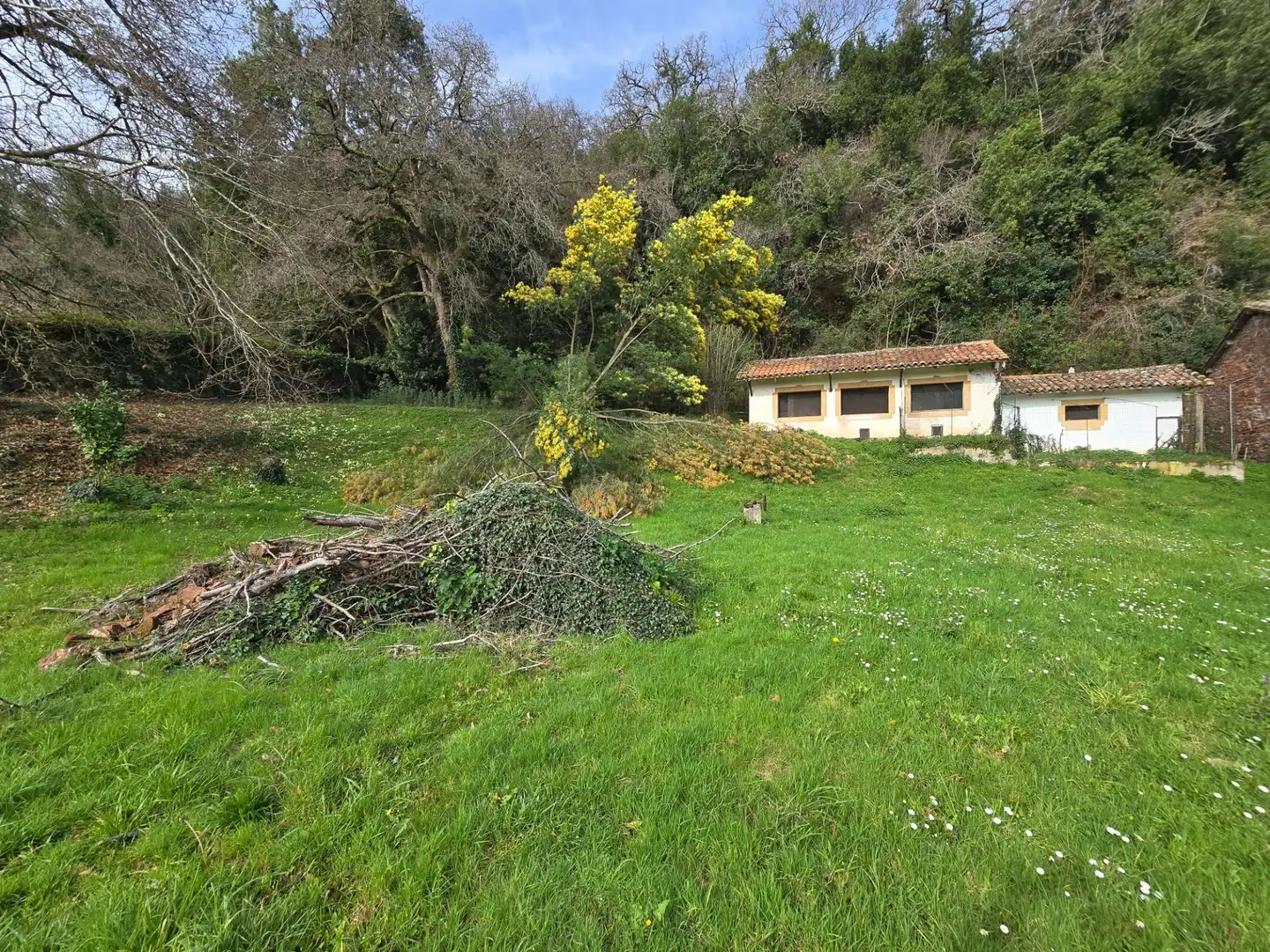 Casa o chalet en venta en Villaviciosa con Calefacción y Jardín privado