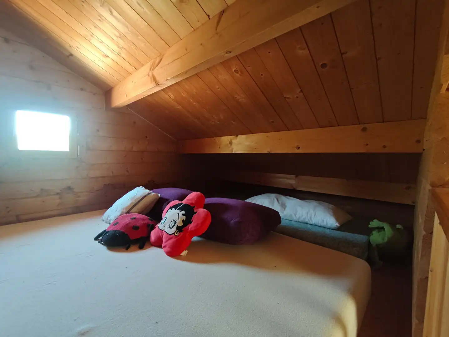 Terreno rústico en venta en Valletes - Xiribecs, imagen 16