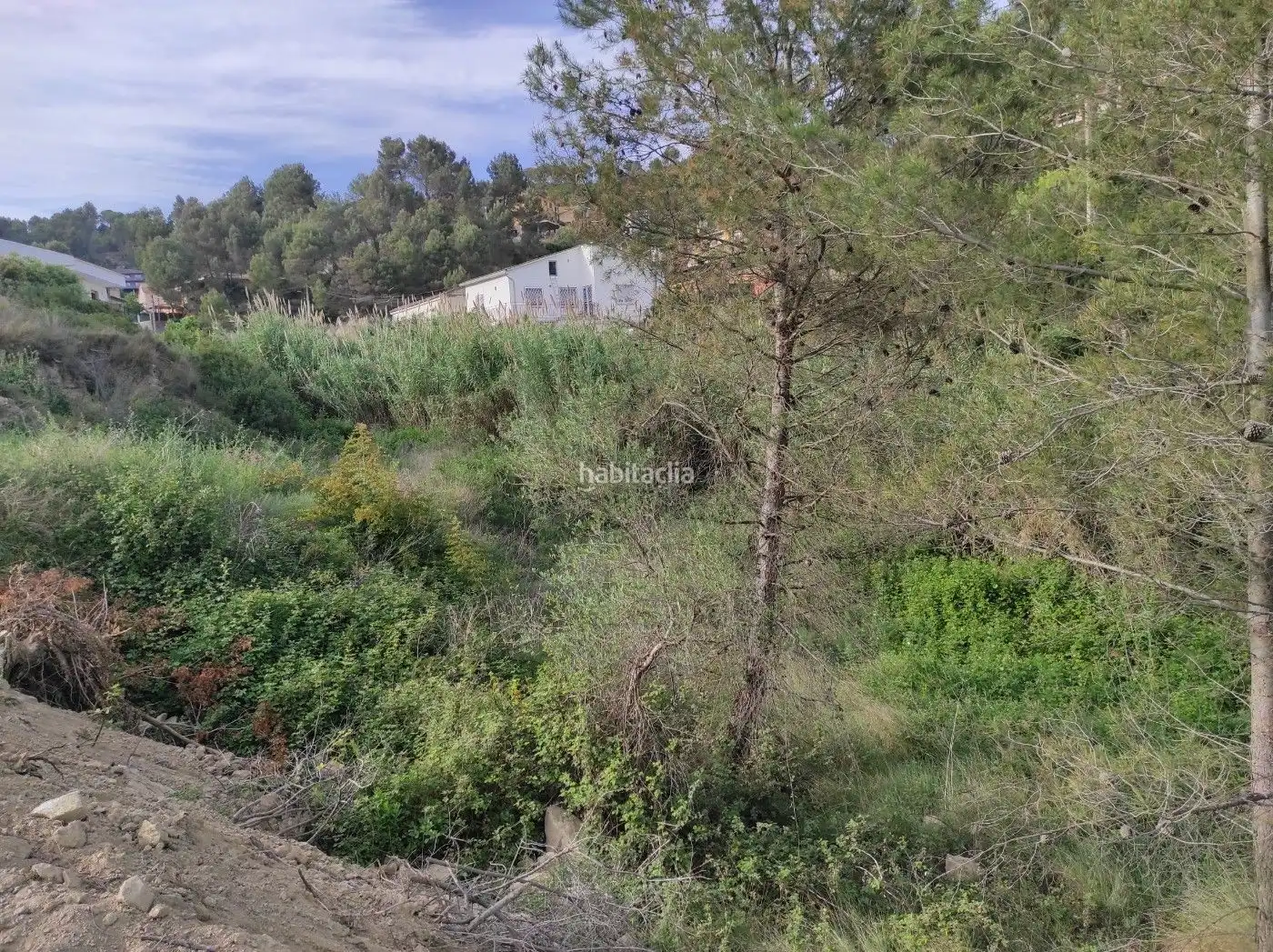 Wohnbaugrundstück zum Verkauf in Avinguda Montserrat 45