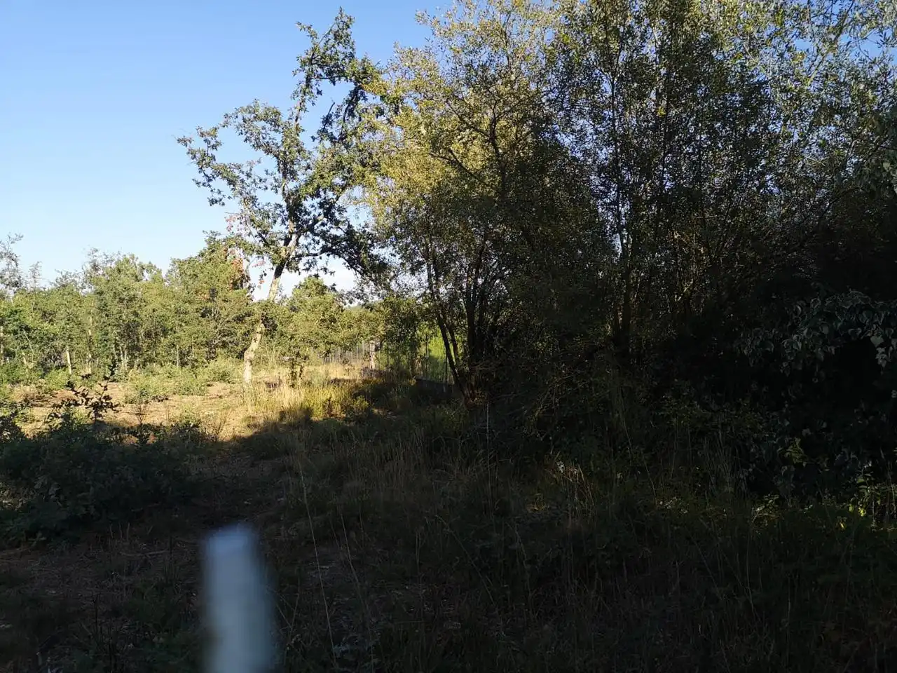 Terrenys i solars en venda a O Pereiro de Aguiar, imagen 12