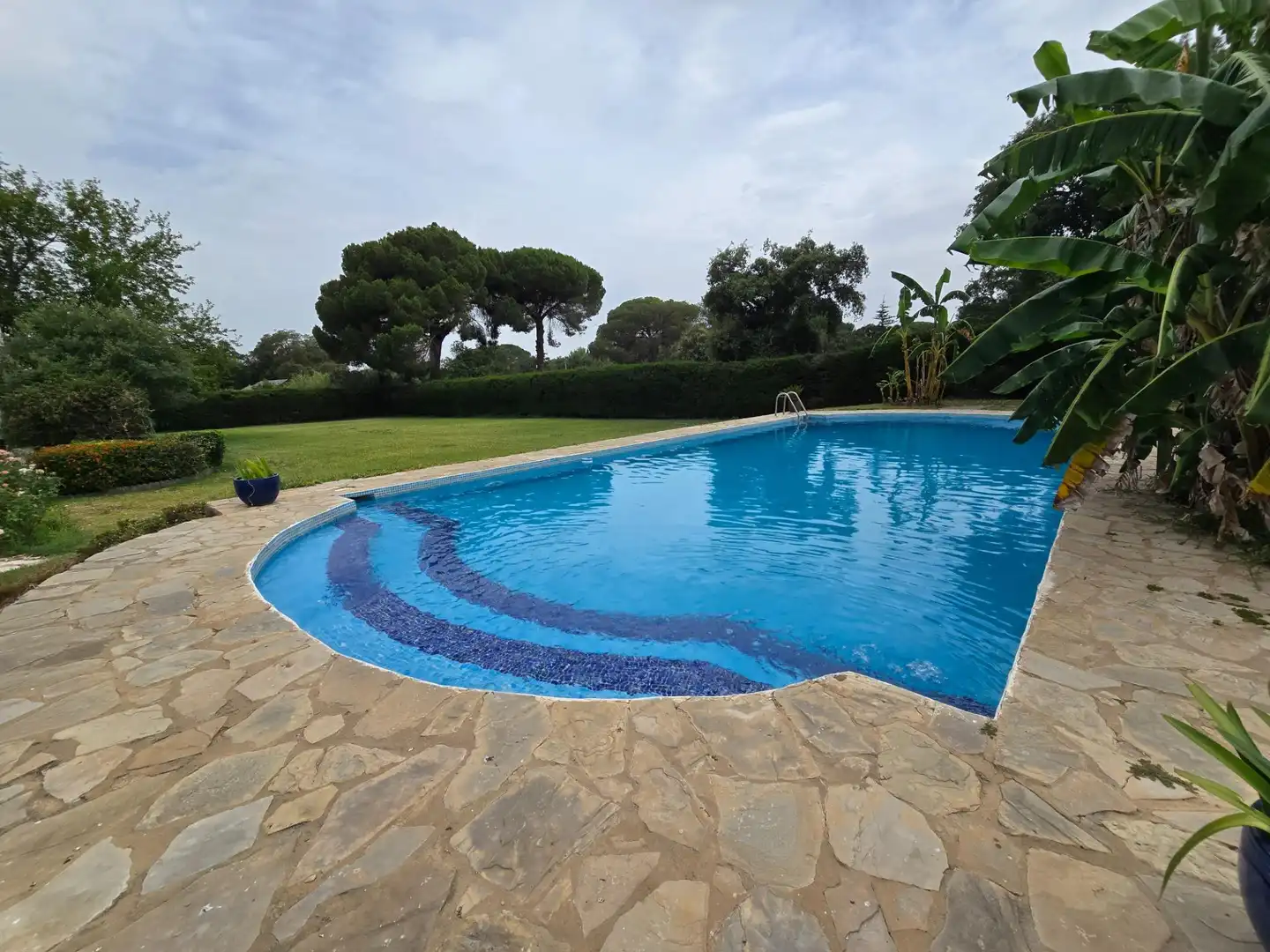 Piscina de Casa o xalet en venda en Jerez de la Frontera amb Aire condicionat, Calefacció i Terrassa