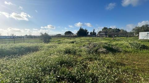 Foto 4 de Finca rústica en venda a Pedanías Norte, Utrera