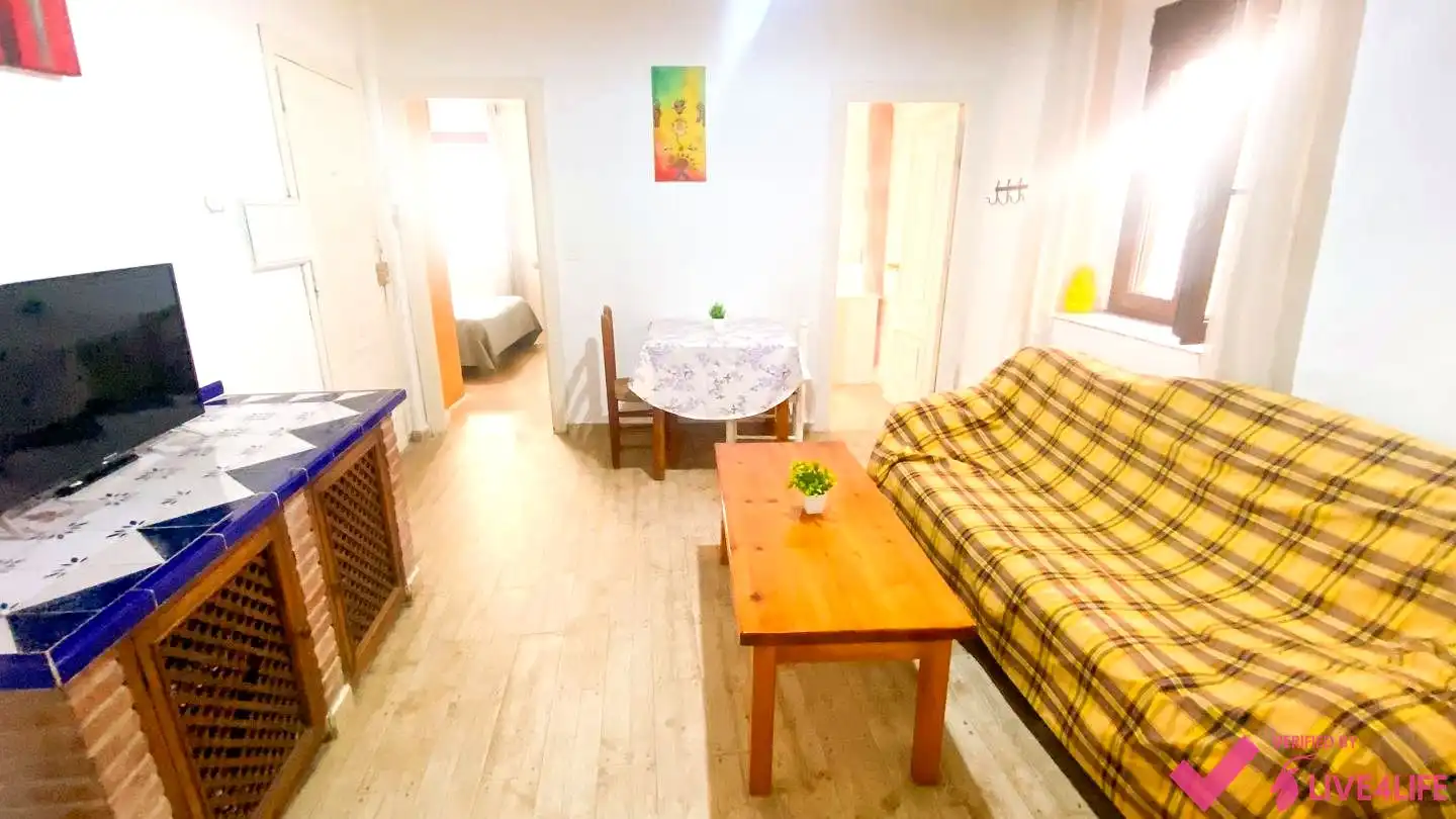 Sala d'estar de Planta baixa de lloguer en Granada amb Terrassa i Moblat