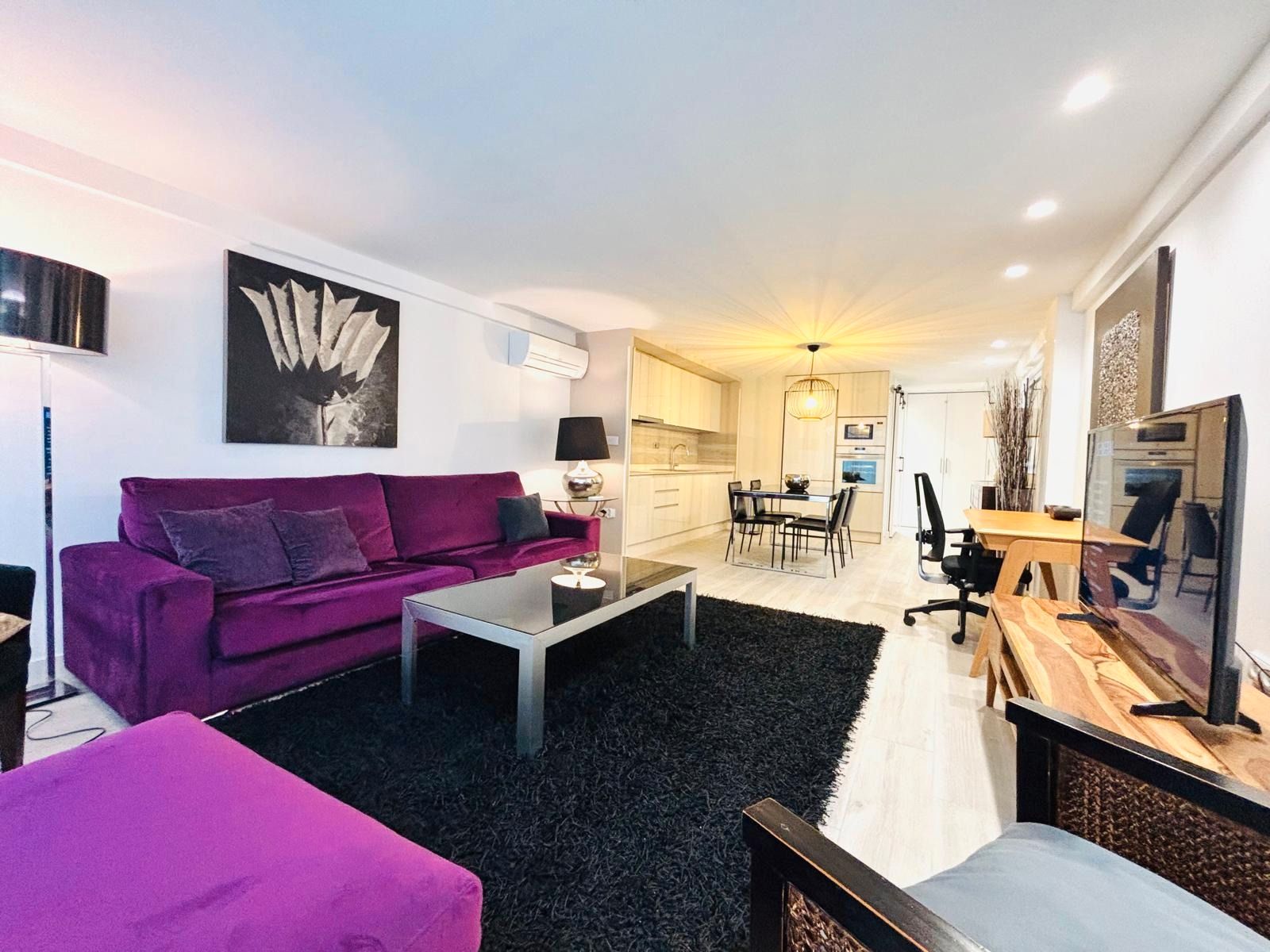 Living room of Flat for rent in Alicante / Alacant  with Air Conditioner, Private garden and Terrace