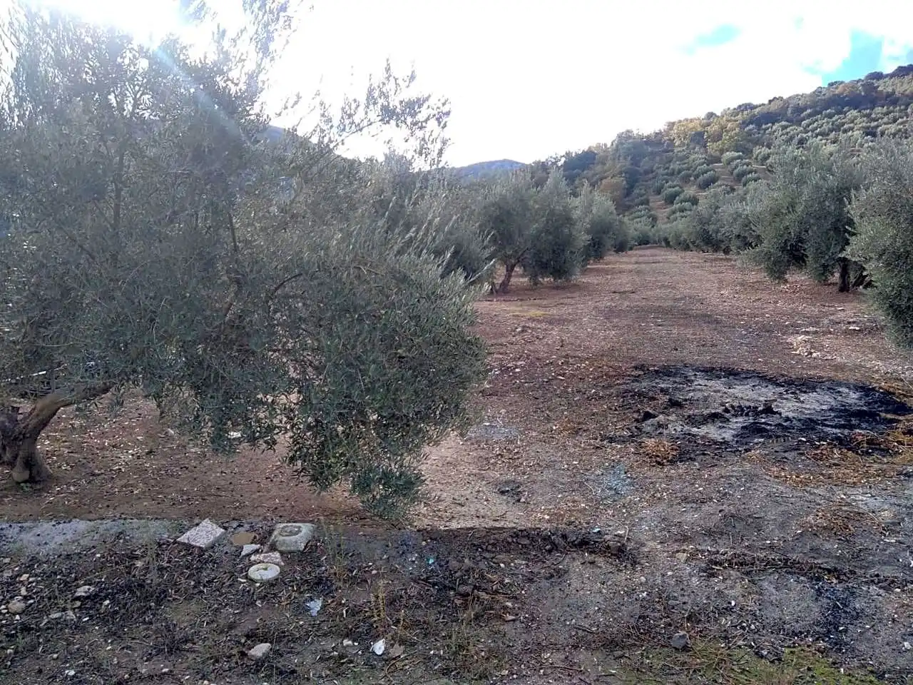 Finca rústica en venta en Benalúa de las Villas con Jardín privado, Terraza y Trastero