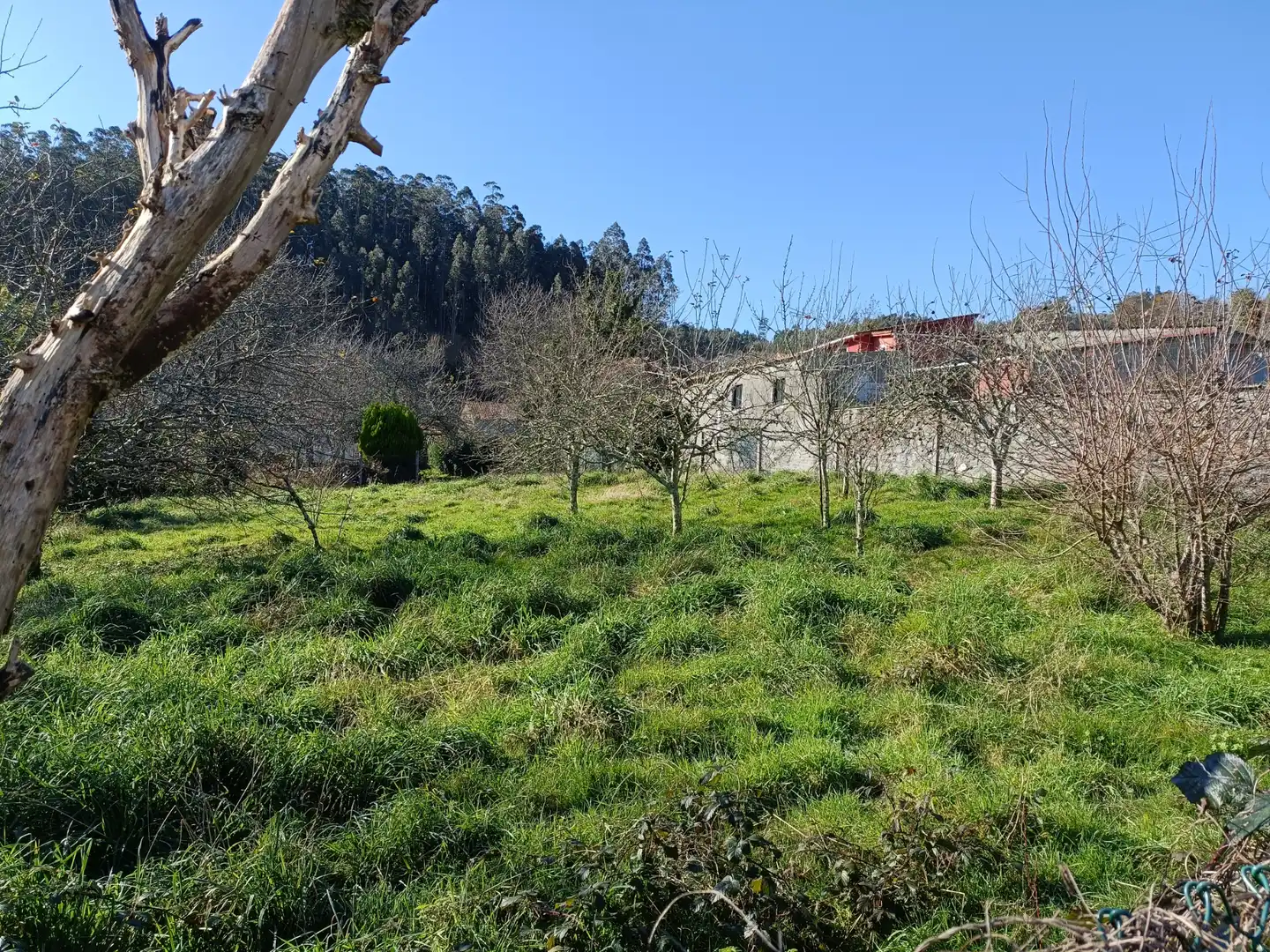 Adossat en venda a Oza dos Ríos, imagen 39