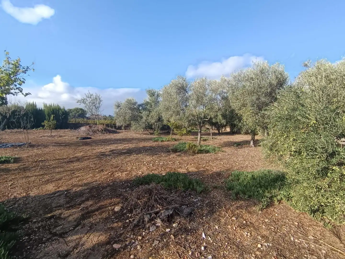 Finca rústica en venda a Chiva, Valencia