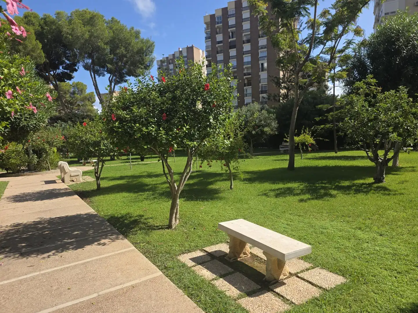 Apartments for rent in Calle GABRIEL Y GALAN-CMOR, Campoamor