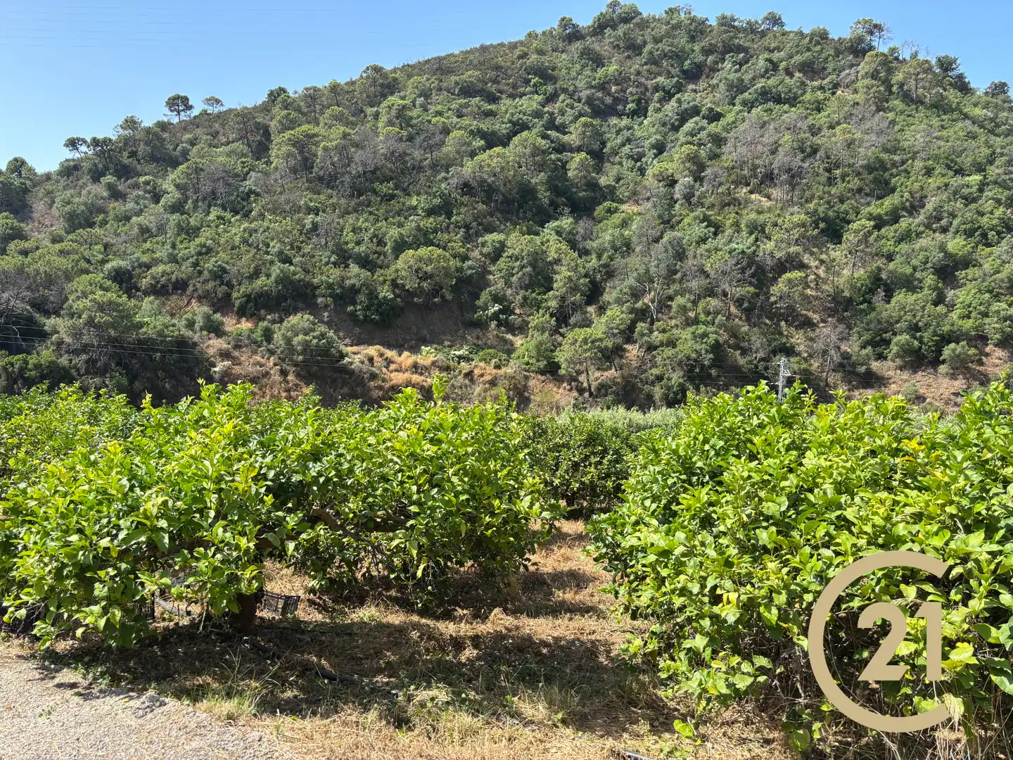 Exterior view of Land for sale in Estepona