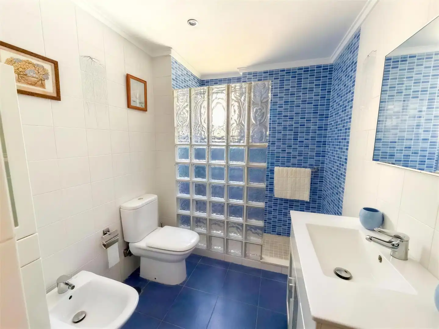Baño de Piso de alquiler en Alicante / Alacant con Terraza, Amueblado y Balcón