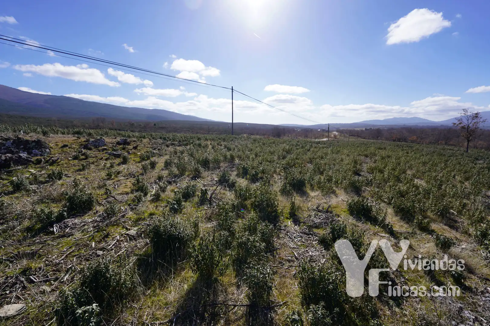 Terreno rústico en venta en Campillo de Ranas, imagen 16