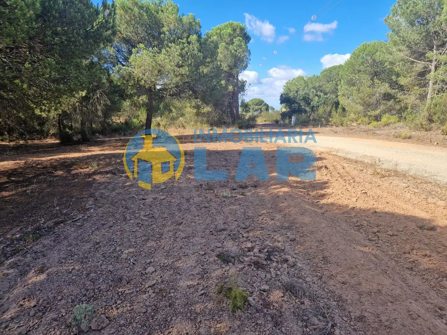 Terreni e lotti in vendita a Bonares, imagen 10