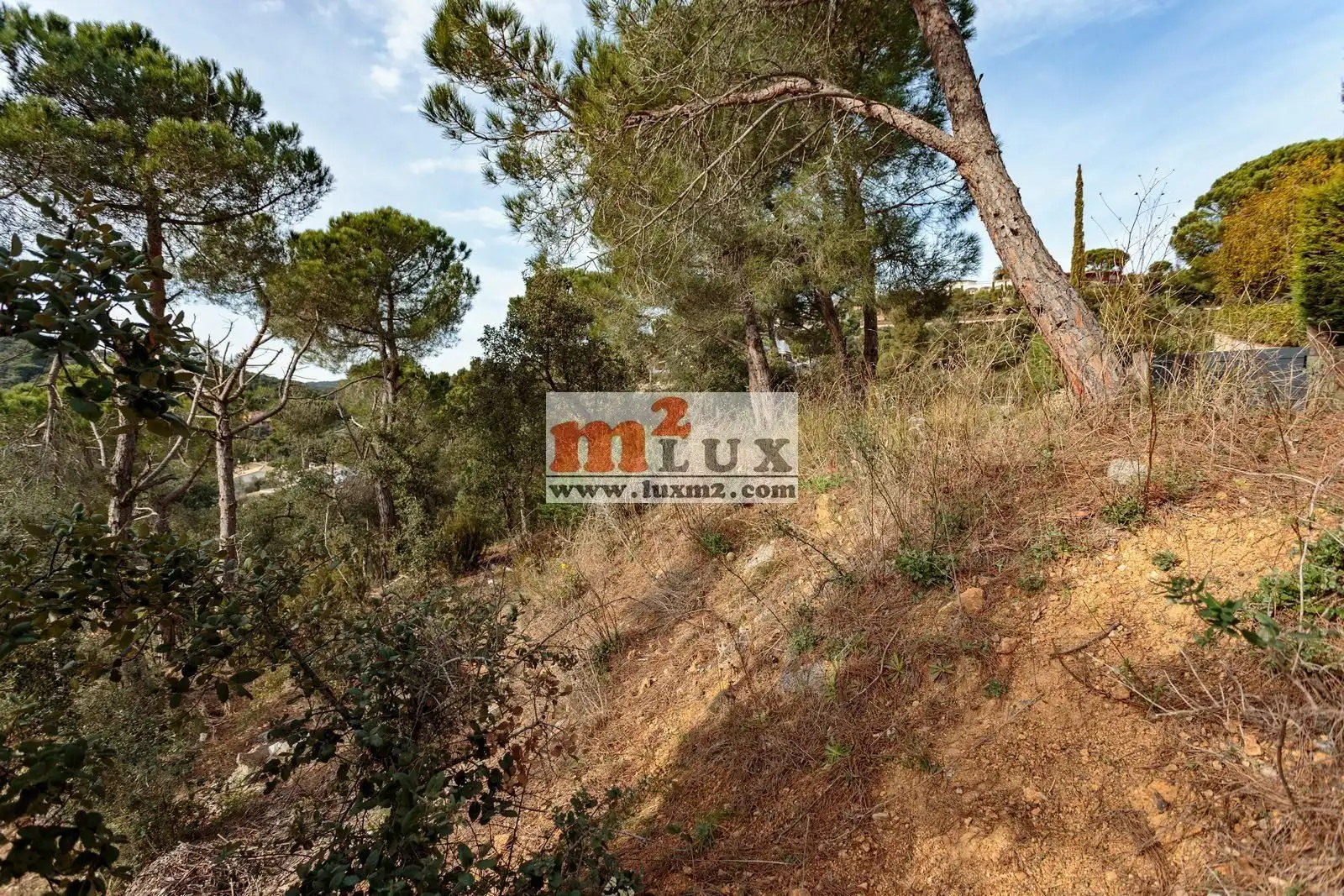 Terreny residencial en venda a Carrer Eucaliptus 14, imagen 7