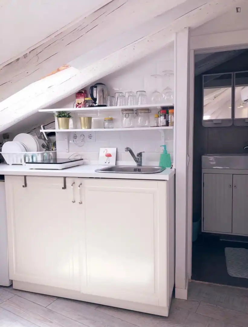 Wohnung zur Miete in Embajadores - Lavapiés