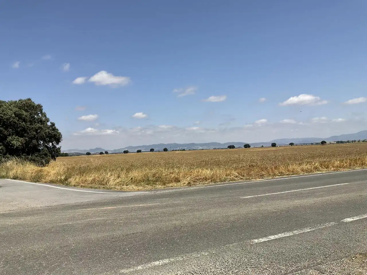 Land for sale in Bañares