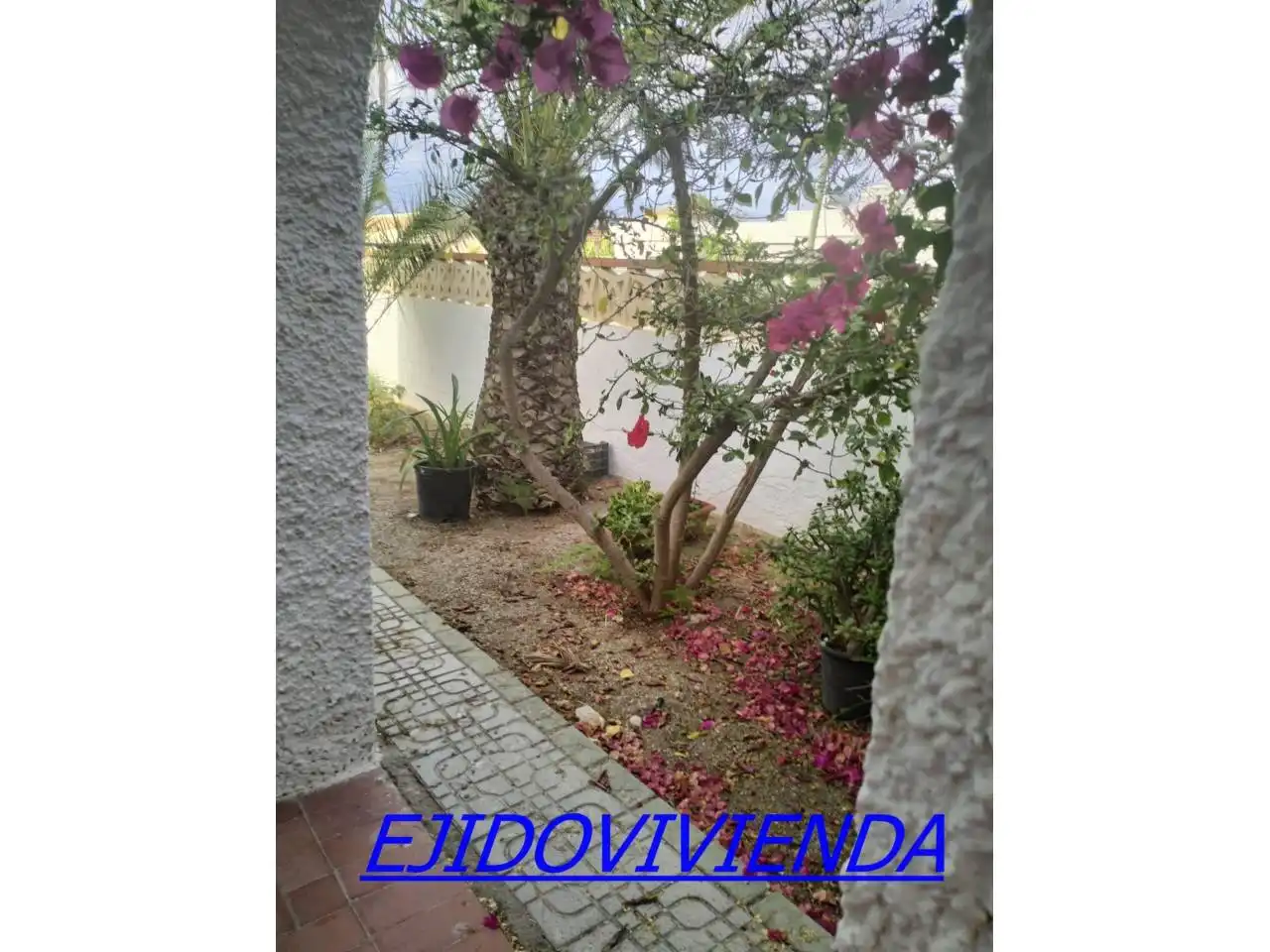 Jardín de Casa o chalet en venta en El Ejido con Jardín privado y Terraza