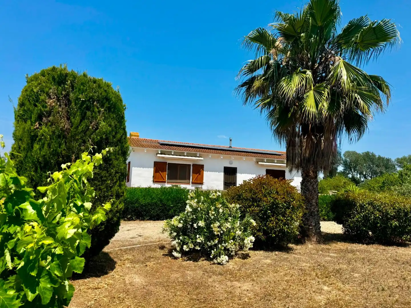 Vista exterior de Casa o xalet en venda en Ginestar, Tarragona
