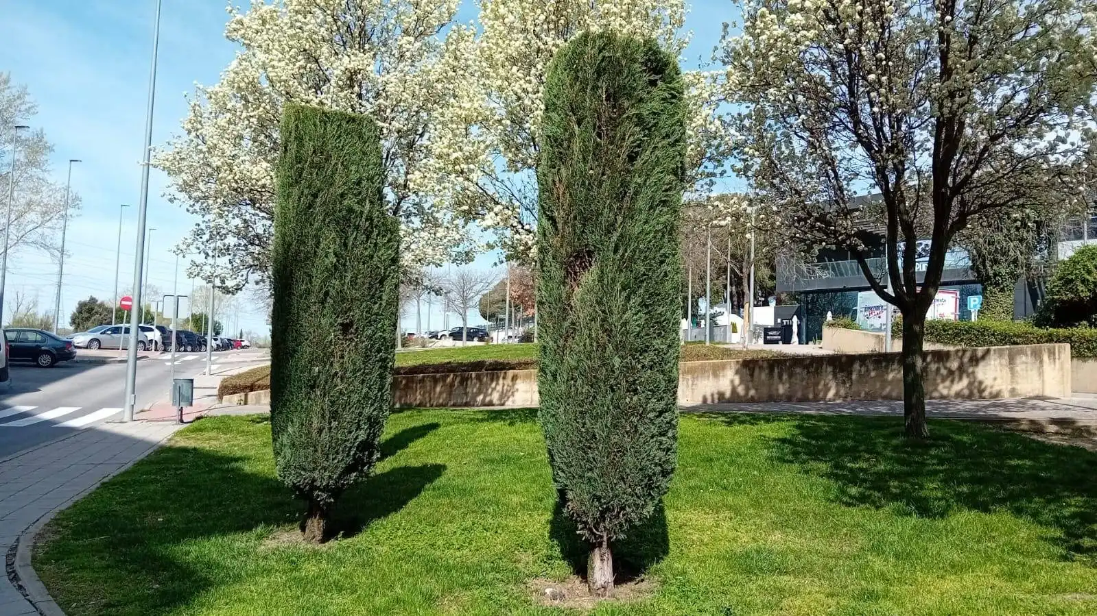 Jardí de Loft en venda en San Sebastián de los Reyes amb Calefacció