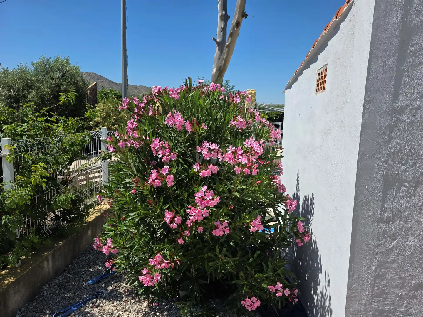 Casa o chalet en venta en Calasparra