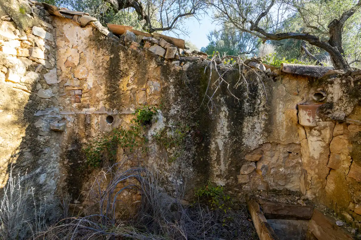 Terreny rústic en venda a Camí de la Potra de Pino 28, imagen 16