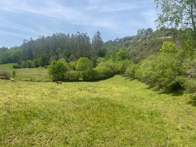 Terreno residencial en Venta en Valdáliga