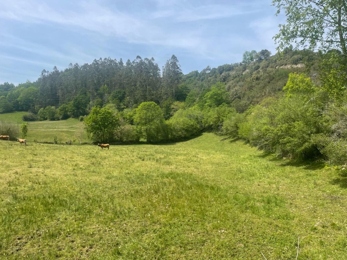 Residential for sale in Valdáliga