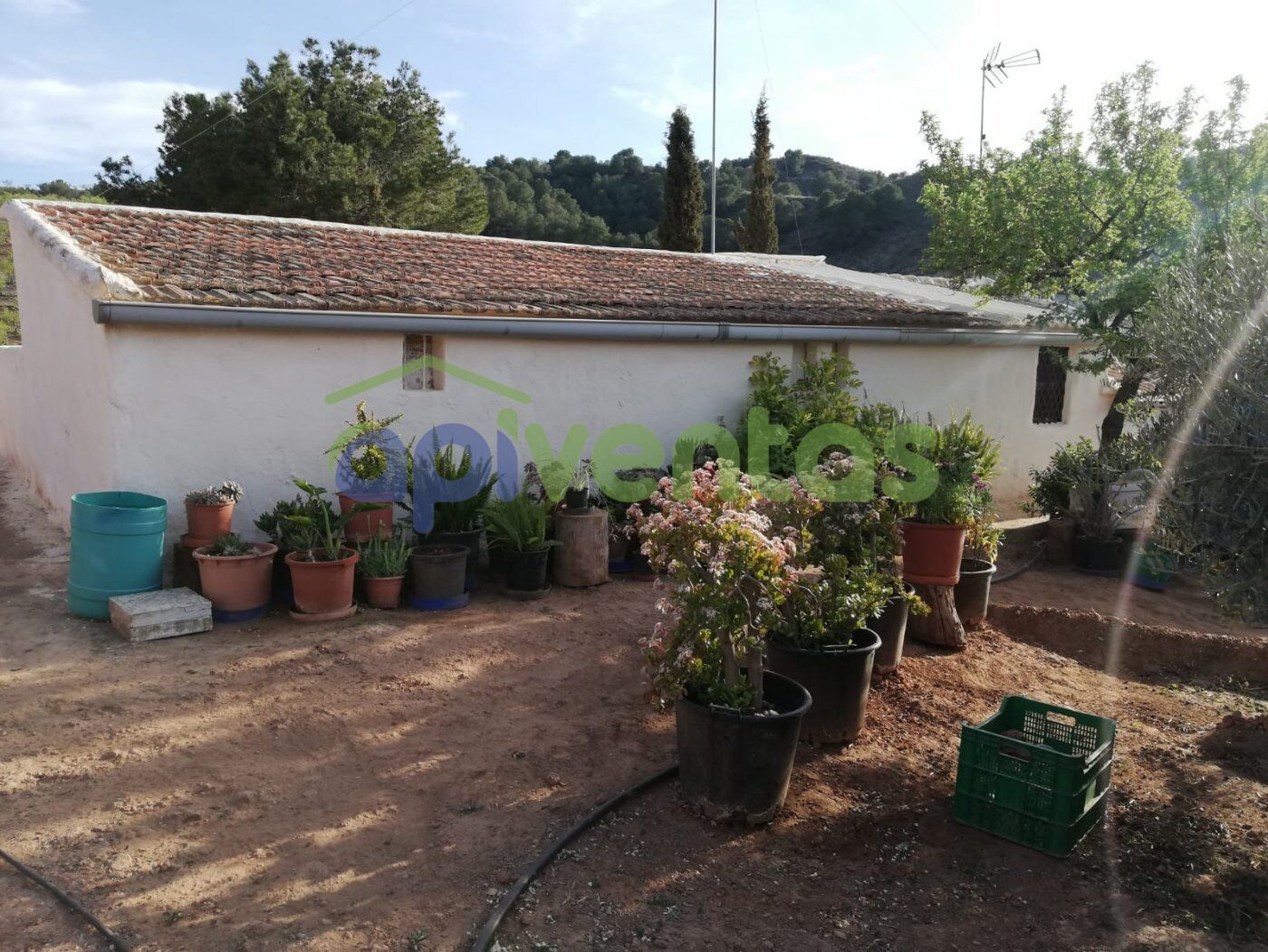Finca rústica en venda a Carrasquilla, Pedanías Sur, Lorca