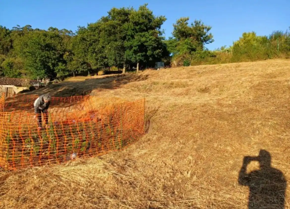 Terreno rustico in vendita a Avenida Antelo Mariño, imagen 5