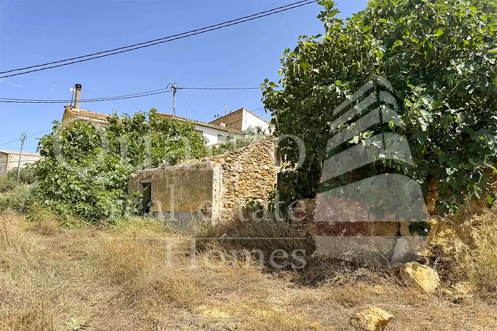 House with garden for sale in Calle Proyecto Número 3