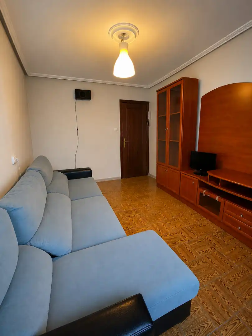 Sala d'estar de Pis de lloguer en Gijón  amb Parquet, Moblat i Forn