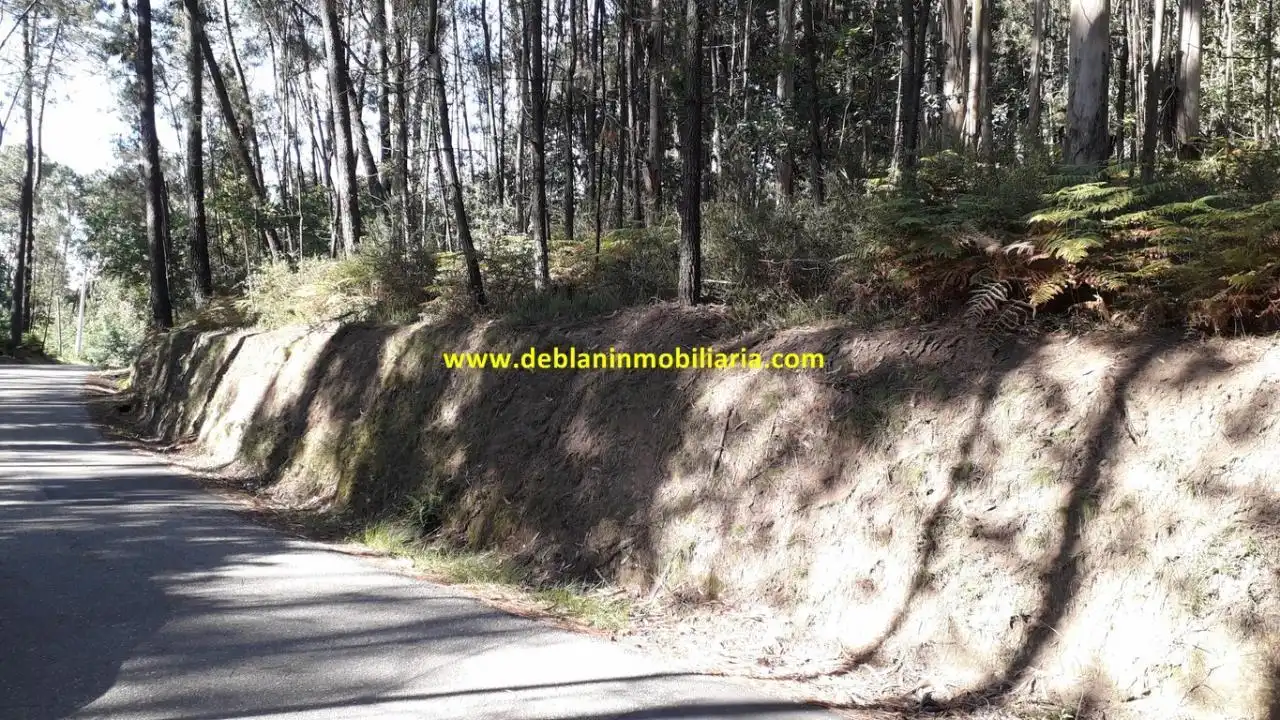 Terreno en venta en Salceda de Caselas