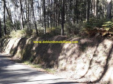 Terreno rustico in vendita a Salceda de Caselas