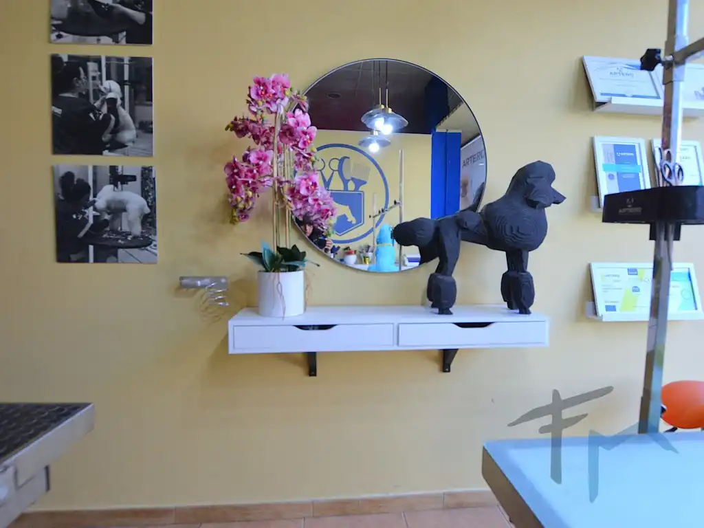 Business premises to rent in Avenida Catalunya, imagen 17