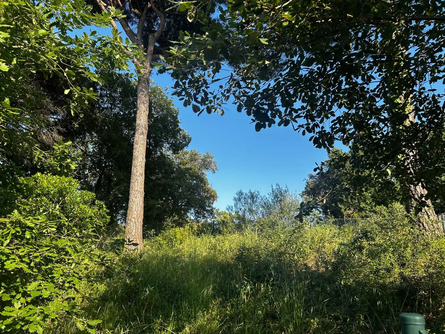 Residential land for sale in Residencial Park, imagen 16