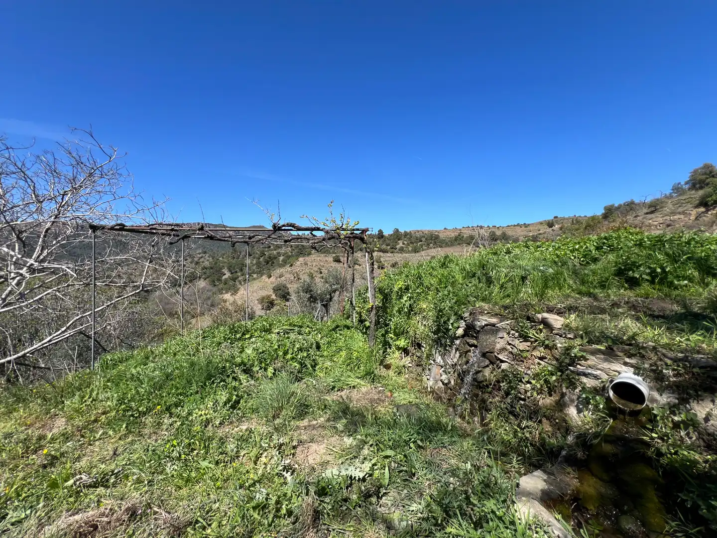 Rural land for sale in Gratallops, imagen 3