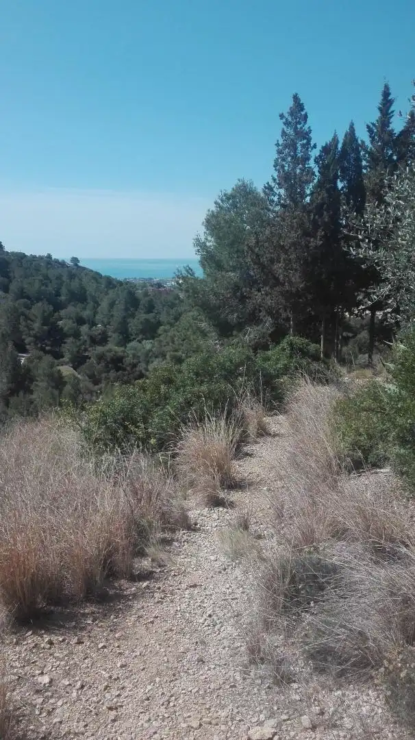 Terreni e lotti in vendita a Urbanitzacions de Llevant, imagen 14