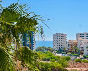 Vista exterior de Apartament en venda en Torrevieja amb Aire condicionat, Terrassa i Piscina comunitària