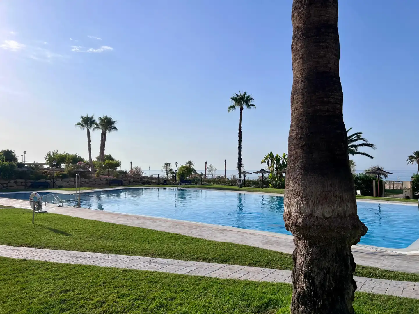 Swimming pool of Flat for rent in Villajoyosa / La Vila Joiosa  with Air Conditioner, Private garden and Terrace