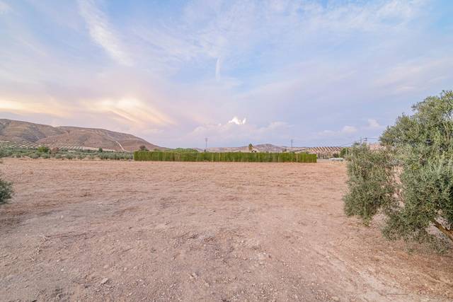 Terreno en Venta en Escúzar