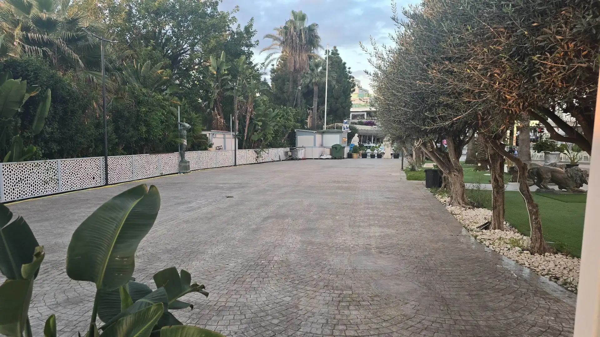 Local comercial en alquiler en Nueva Andalucía, imagen 4