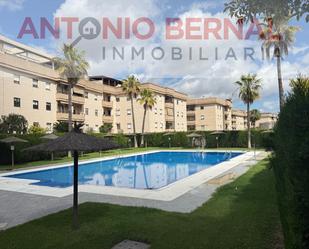 Exterior view of Apartment for sale in Jerez de la Frontera  with Terrace and Community pool