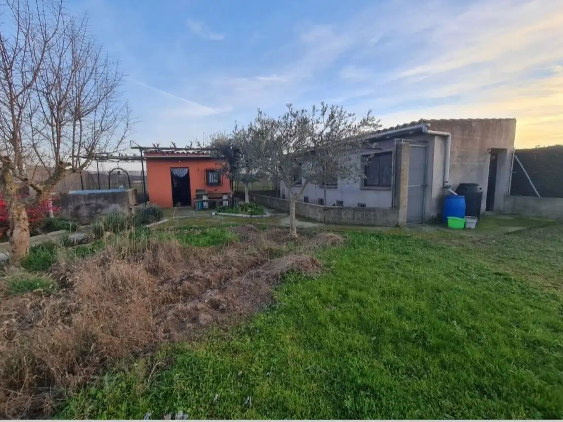 Terreno rústico en venta en Carretera Calera 1000, imagen 12